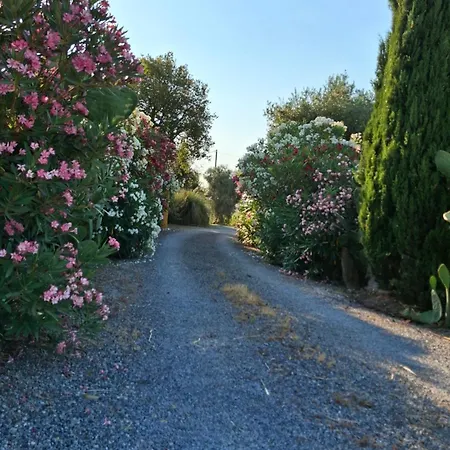 Διαμέρισμα Podere 329 Magliano in Toscana