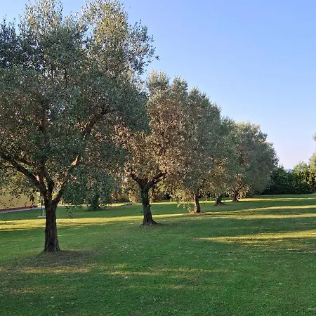 Podere 329 Διαμέρισμα Magliano in Toscana