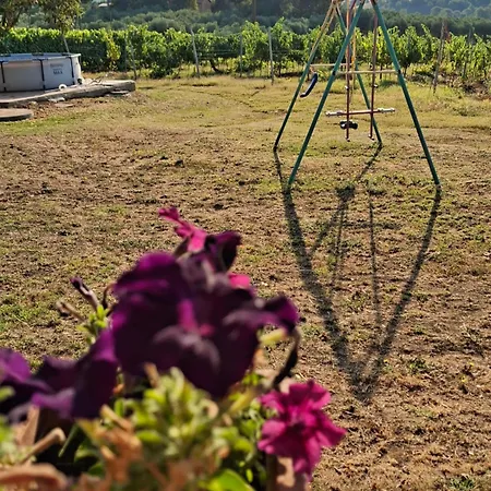 Διαμέρισμα Podere 329